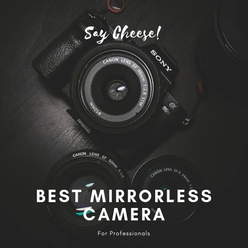 best frame mirrorless camera for professionals