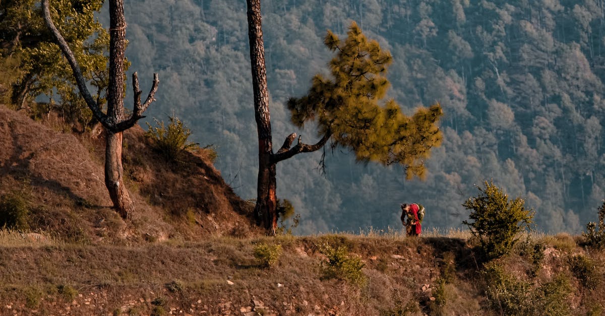 Old Woman Walking Near Trees